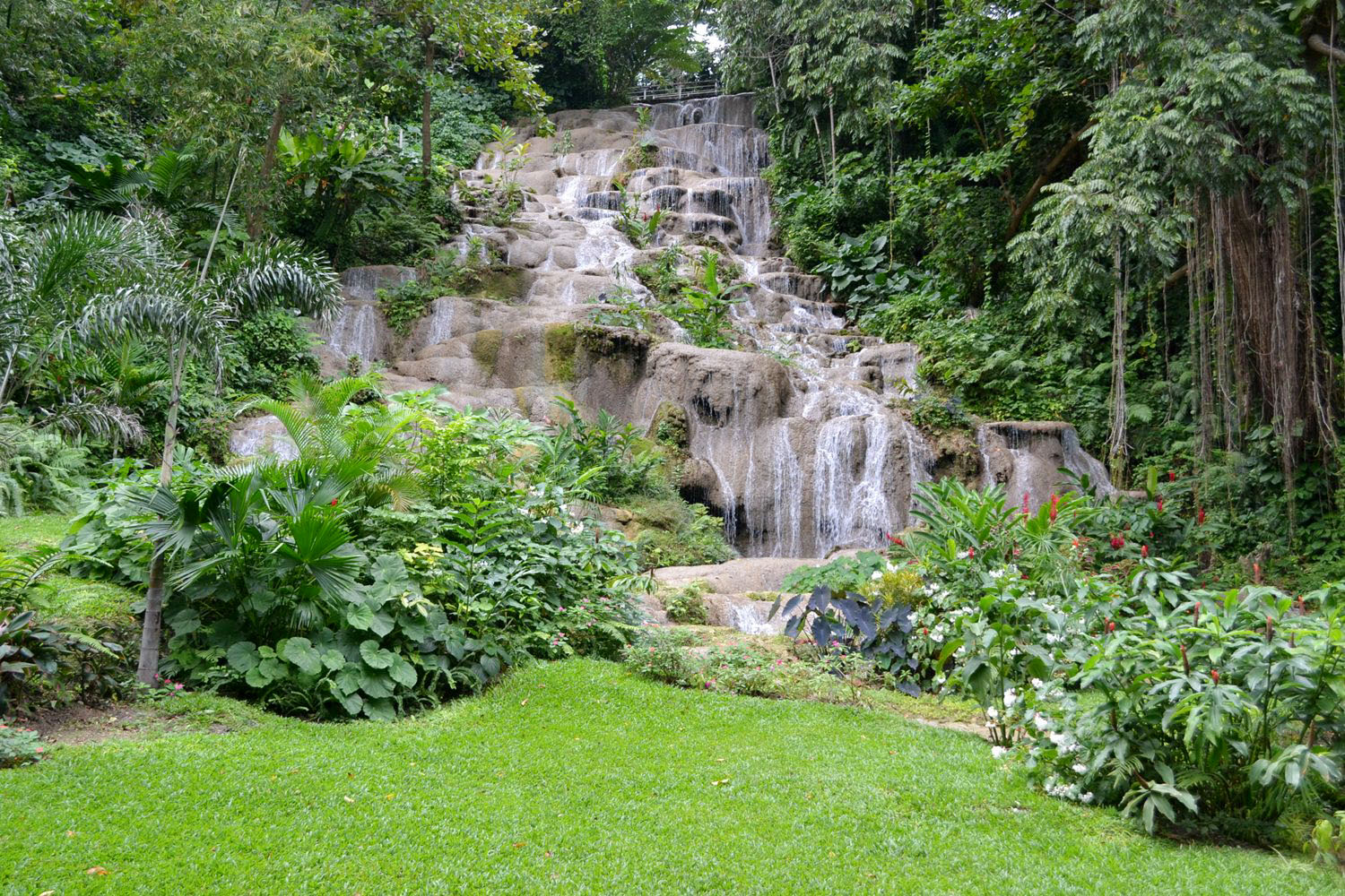 kokono falls jamaica