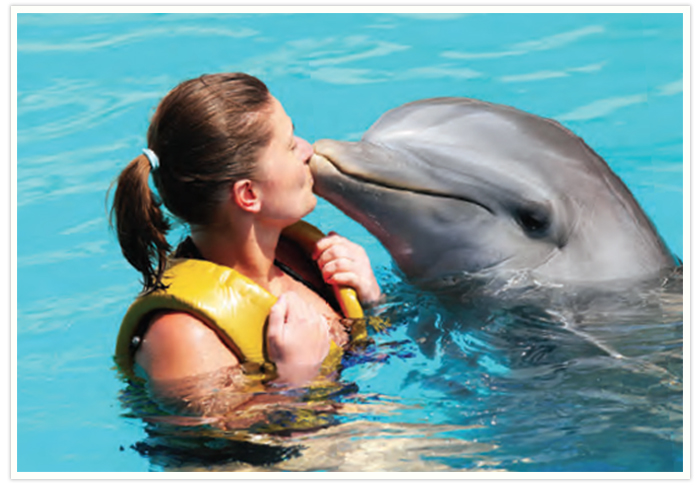 Dolphin Cove