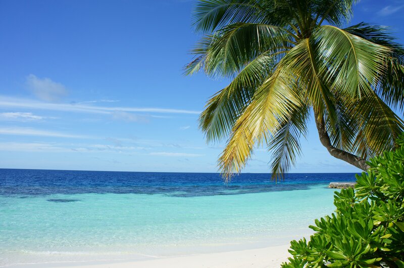 Caribbean beach view