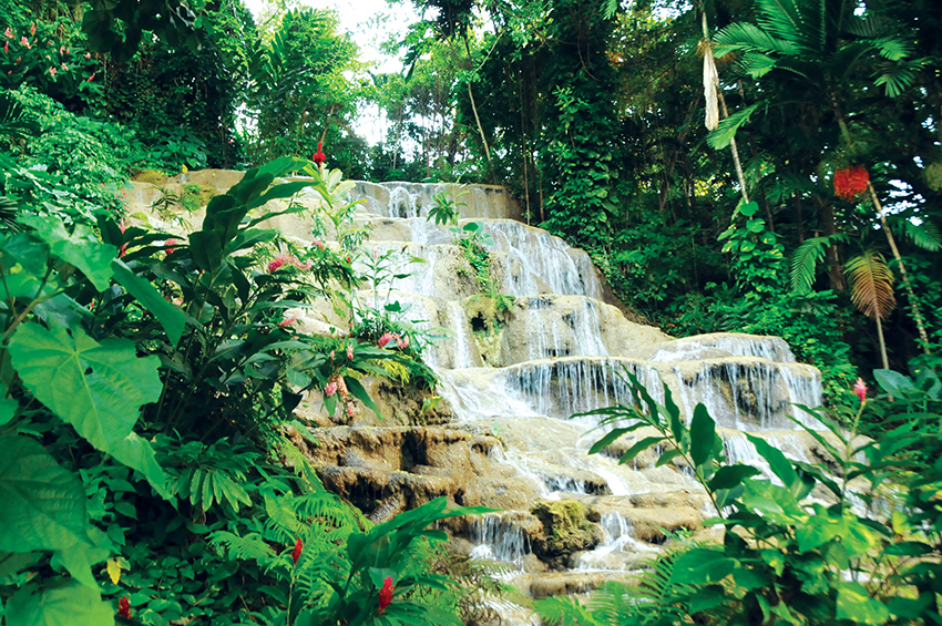 Dive into Jamaica with Jamaica Tours Limited (JTL)!